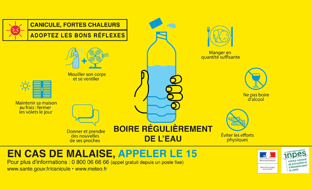 SLIDE-CANICULE
